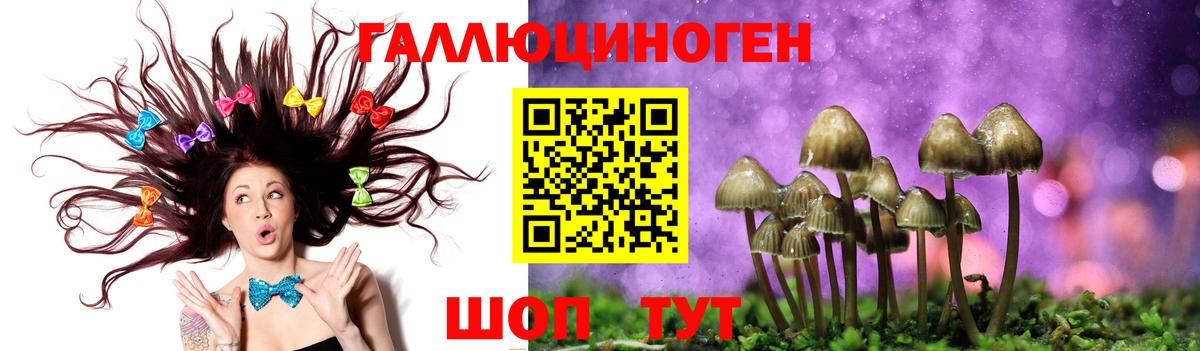 Псилоцибиновые грибы мицелий  Галлюциногенные грибы мицелий  Всеволожск  Вход с VPN 